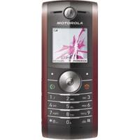 Abbildung von Motorola W208