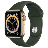 Abbildung von Apple Watch Series 6 (40 mm)