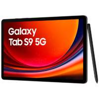 Abbildung von Samsung Galaxy Tab S9 5G (SM-X716B)