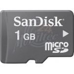 Abbildung zeigt Galaxy Tab 2 7.0 3G (GT-P3100) Sandisk Transflash / microSD Card 1GB