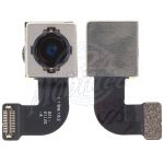 Abbildung zeigt iPhone SE 2020 Ersatz Kamera Hauptkamera hinten 12 MP