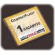 CompactFlashCard 1GB